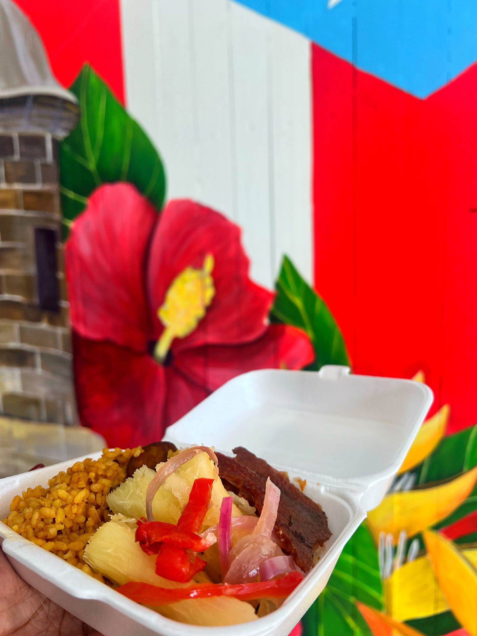 Plato criollo con arroz, lechón y ensalada frente a un mural